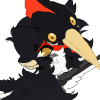 Thumbnail for Ivory Billed Woodpecker